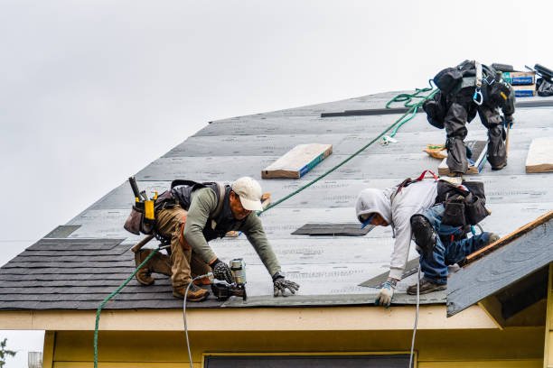 Professional Roof Inspection technician working in Holley, NY